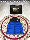 The North Face Royal Blue 700 Fill Puffer Vest