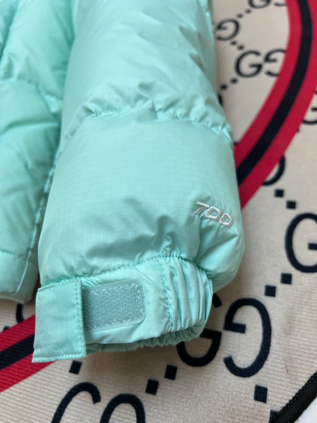 The North Face Mint Green Black 1992 Nuptse 700 Fill Power Down Jacket