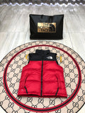 The North Face Red 700 Fill Puffer Vest